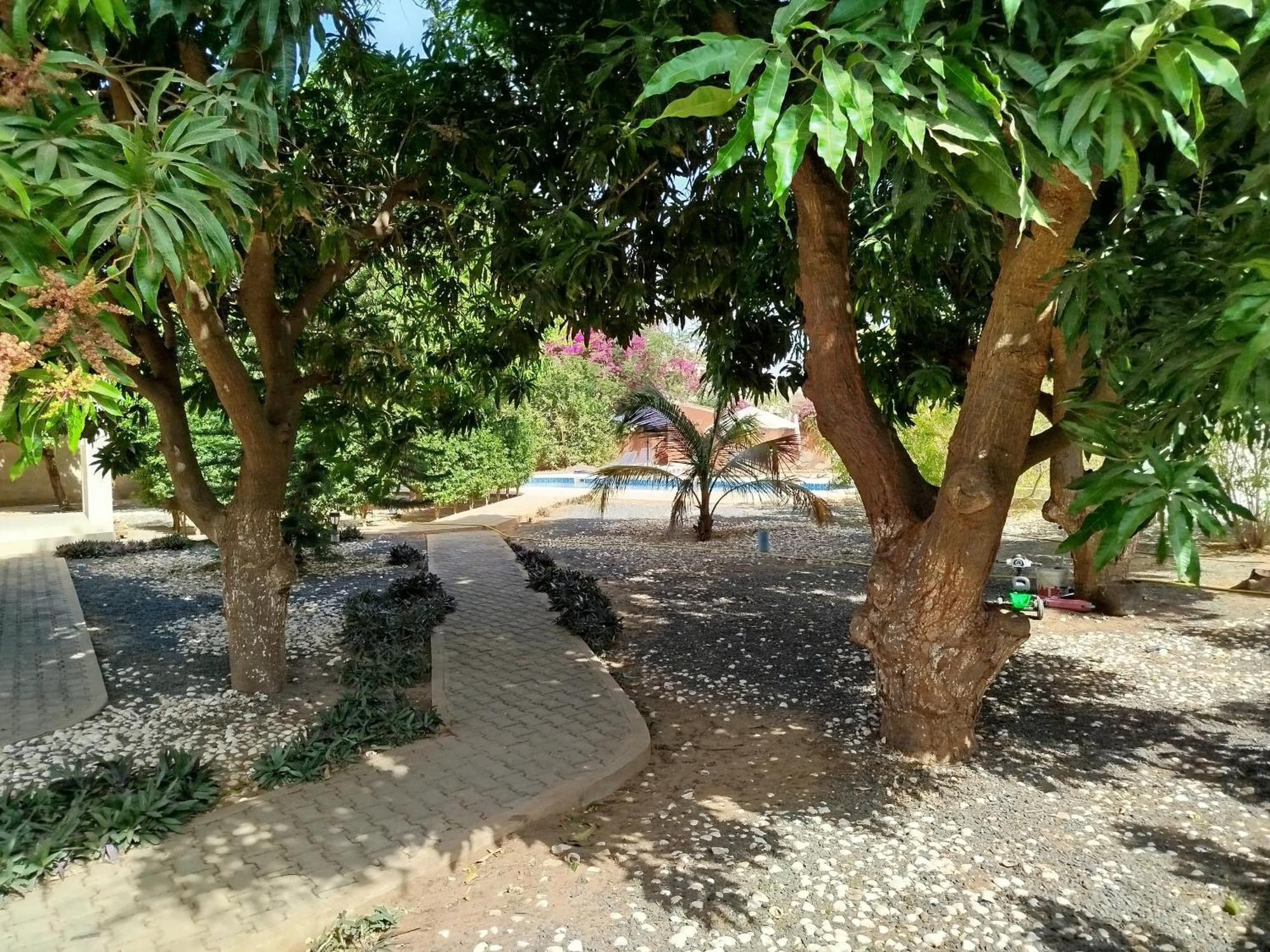 Hotel Al Jannah Bis Somone Exterior foto
